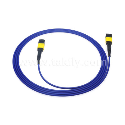 MPO/MTP Patchcord سلك الجذع المدرع SM/MM Jumper Fiber Optic لمركز البيانات AI FTTX Telecom