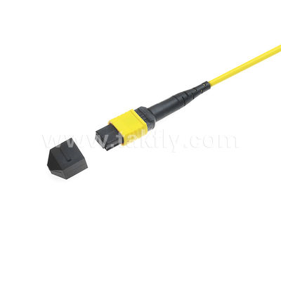 MPO/MTP Patchcord سلك الجذع المدرع SM/MM Jumper Fiber Optic لمركز البيانات AI FTTX Telecom