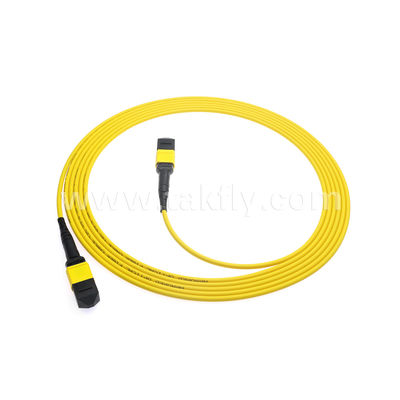 MPO/MTP Patchcord سلك الجذع المدرع SM/MM Jumper Fiber Optic لمركز البيانات AI FTTX Telecom