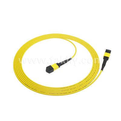 MPO/MTP Patchcord سلك الجذع المدرع SM/MM Jumper Fiber Optic لمركز البيانات AI FTTX Telecom