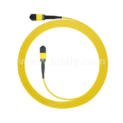 MPO/MTP Patchcord سلك الجذع المدرع SM/MM Jumper Fiber Optic لمركز البيانات AI FTTX Telecom