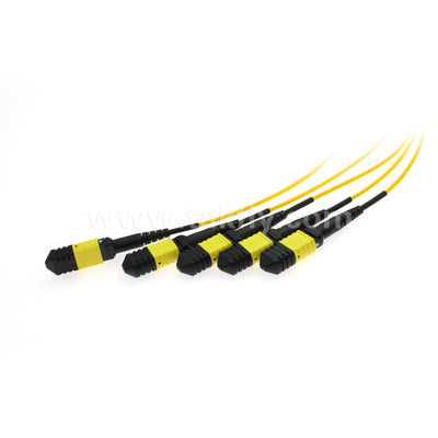 MPO/MTP Fanout Cable PLC Splitter 1x4 SM/MM الألياف الضوئية لمركز البيانات FTTX