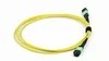 MPO-MPO Fiber Patch Cord لمركز البيانات 8-24 Core
