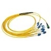 MTP-LC 12-Core Fiber Patch Cord OFNP LSZH وضع واحد