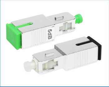 SC خفيف الذكور والإناث RL منخفض