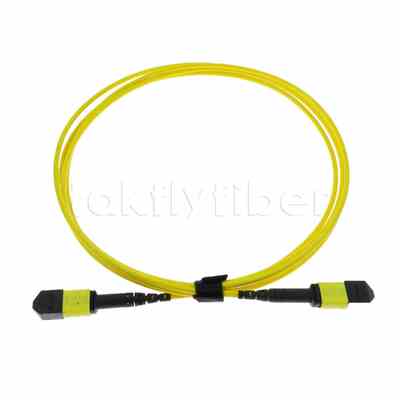 كابل جذع MPO® MTP بطول 5 أمتار، MTP®-12 APC (أنثى) إلى MTP®-12 APC (أنثى)، 12 ليف، OS2 Plenum (OFNP)، 0.35 ديسيبل كحد أقصى