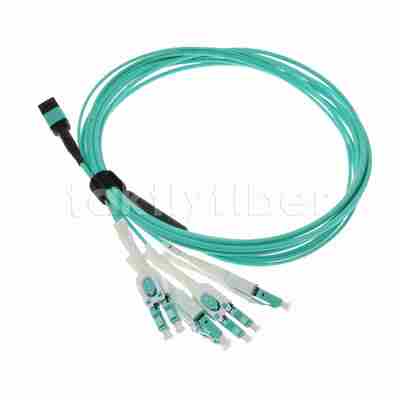 12F كابل الألياف البصرية MPO-LC Uniboot MPO Breakout Patch Cable، Plenum (OFNP)، 0.35 ديسيبل كحد أقصى.