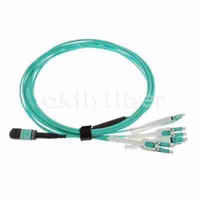 12F كابل الألياف البصرية MPO-LC Uniboot MPO Breakout Patch Cable، Plenum (OFNP)، 0.35 ديسيبل كحد أقصى.