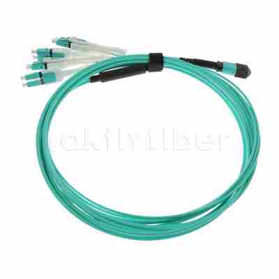 12F كابل الألياف البصرية MPO-LC Uniboot MPO Breakout Patch Cable، Plenum (OFNP)، 0.35 ديسيبل كحد أقصى.