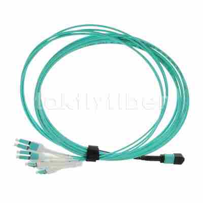 12F كابل الألياف البصرية MPO-LC Uniboot MPO Breakout Patch Cable، Plenum (OFNP)، 0.35 ديسيبل كحد أقصى.