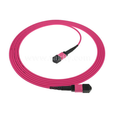 MPO MTP الذكور الإناث 8F 12F 16F 24F MM Multimode OM4 Fiber Optic Patchcord / كابل التشغيل بالألياف الضوئية / كابل الاختراق الضوئي / كابل جذع الألياف الضوئية