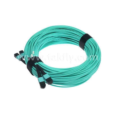 2x12F MPO MTP- 2x12F MPO MTP الذكور الإناث كابل 24 الألياف الضوئية المتفجرة OM3 OM4 متعدد الأوضاع Fiber Optic Patchcord / Optical Fiber Patch Cable / Optical Fiber Trunk Cable / Optical Fiber Fanout Cable