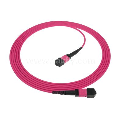 كابل ألياف بصرية MPO/MTP Patchcord أحادي الوضع متعدد الأوضاع LSZH 8f/12f/24f لمركز البيانات FTTX