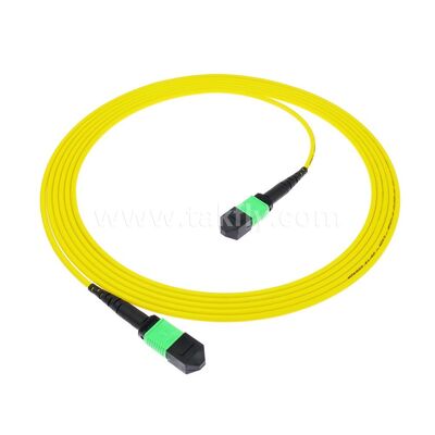 كابل ألياف بصرية MPO/MTP Patchcord أحادي الوضع متعدد الأوضاع LSZH 8f/12f/24f لمركز البيانات FTTX
