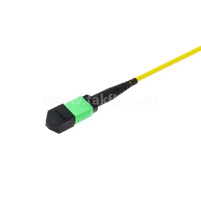 كابل ألياف بصرية MPO/MTP Patchcord أحادي الوضع متعدد الأوضاع LSZH 8f/12f/24f لمركز البيانات FTTX