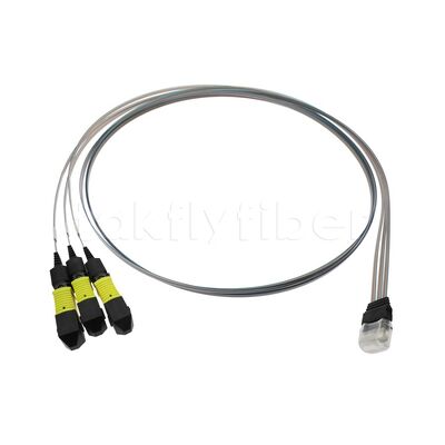 3x12F MTP - 36CH Fiber Array FA Assembly بمعدل نقل عالي واستهلاك منخفض وثبات وموثوقية عالية