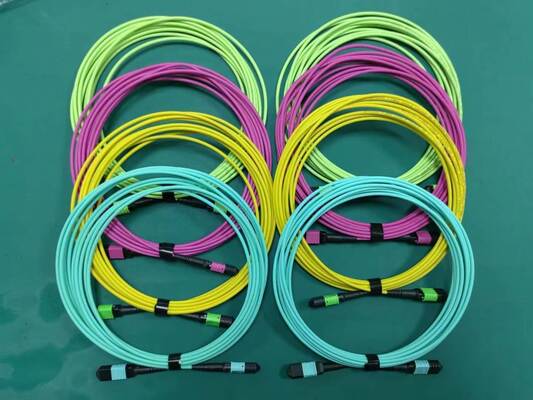 MPO MTP Multi-Core Pre-terminated Fiber Patch Cord لتطبيقات مركز البيانات عالية الكثافة