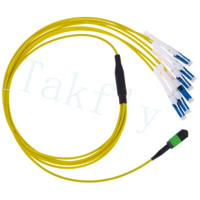 MPO إلى CS Breakout Patch Cord ️ حل عالي الكثافة لربط مركز البيانات 400G / 800G