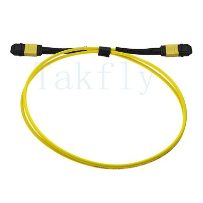 12-Core MPO APC Fanout Patch Cord الذكور إلى الإناث ، خسارة منخفضة
