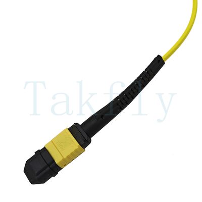 12-Core MPO APC Fanout Patch Cord الذكور إلى الإناث ، خسارة منخفضة