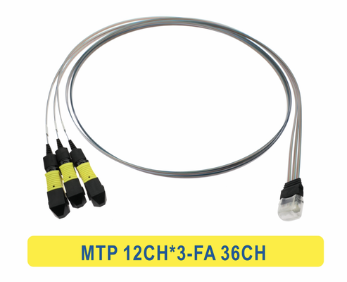 3 * 12F MTP إلى 36CH FA كابل Fiber Array Fiber Optic Patchcord