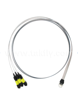 مجموعة مصفوفات الألياف MTP 12CH×3 إلى 36 قناة - موصلات MTP 3×12CH إلى 36CH V-Groove FAU، فقدان إدخال منخفض، لأجهزة الإرسال والاستقبال الضوئية 1.6T والبصريات المجمعة (CPO)