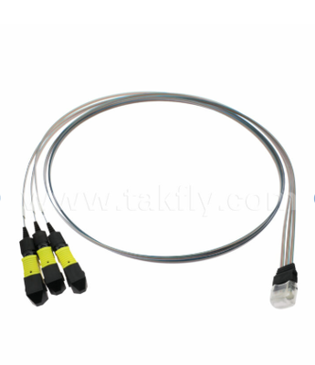 مجموعة مصفوفات الألياف MTP 12CH×3 إلى 36 قناة - موصلات MTP 3×12CH إلى 36CH V-Groove FAU، فقدان إدخال منخفض، لأجهزة الإرسال والاستقبال الضوئية 1.6T والبصريات المجمعة (CPO)