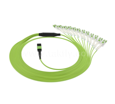 MPO/MTP to LC Uniboot Breakout Patch Cord – OM5 Multimode, 1×24, Space-Saving Uniboot LC Connectors, for High-Density Data Center & 40G/100G/400G Applications