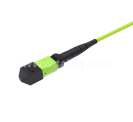 MPO/MTP to LC Uniboot Breakout Patch Cord – OM5 Multimode, 1×24, Space-Saving Uniboot LC Connectors, for High-Density Data Center & 40G/100G/400G Applications