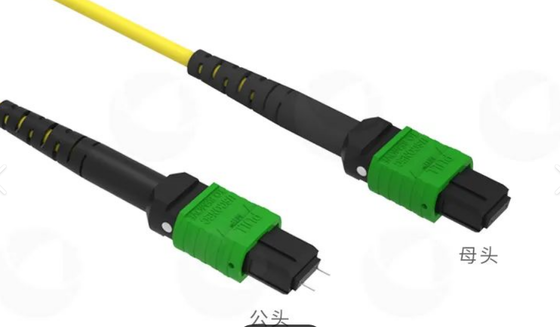8F 12F 16F 24F MPO MTP الذكور الإناث SM MM كابل الألياف الضوئية / كابل الألياف الضوئية / كابل الاختراق الضوئي / كابل جذع الألياف الضوئية لمركز البيانات عالي الكثافة