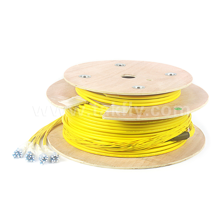 48-Core LC-LC Pre-terminated Breakout Patch Cord