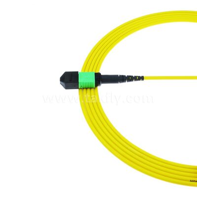 MPO MTP Patchcord SM Trunk Cable 12F الألياف الضوئية لمركز البيانات AI Telecom FTTX الكابلات