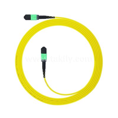 MPO MTP Patchcord SM Trunk Cable 12F الألياف الضوئية لمركز البيانات AI Telecom FTTX الكابلات