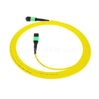 MPO MTP Patchcord SM Trunk Cable 12F الألياف الضوئية لمركز البيانات AI Telecom FTTX الكابلات