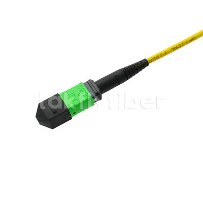 MPO MTP Patchcord SM Trunk Cable 12F الألياف الضوئية لمركز البيانات AI Telecom FTTX الكابلات