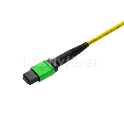 MPO MTP Patchcord SM Trunk Cable 24F Fiber Optic for Data Center AI Telecom FTTX Cabling