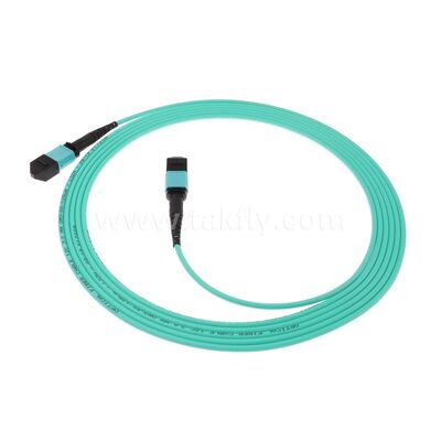 MPO MTP Patchcord MM OM3 كابل الجذع 12F الألياف الضوئية لمركز البيانات AI كابلات الاتصالات