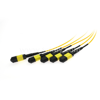 MPO / MTP Fanout كابل PLC Splitter 1x4 فيسبوك بصري أحادي الوضع لمركز البيانات FTTX