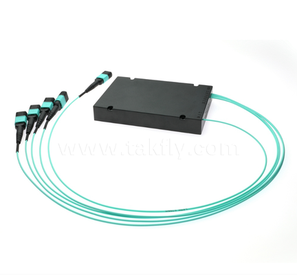 1 × 4 MPO/MTP OM3 PLC Splitter