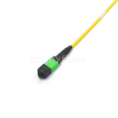 أمفينول مخصص 288 ألياف 0.35dB خسارة إدراج أقصى أسلوب واحد OS2 MPO كابل الجذع لمركز البيانات