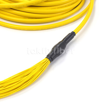 أمفينول مخصص 288 ألياف 0.35dB خسارة إدراج أقصى أسلوب واحد OS2 MPO كابل الجذع لمركز البيانات