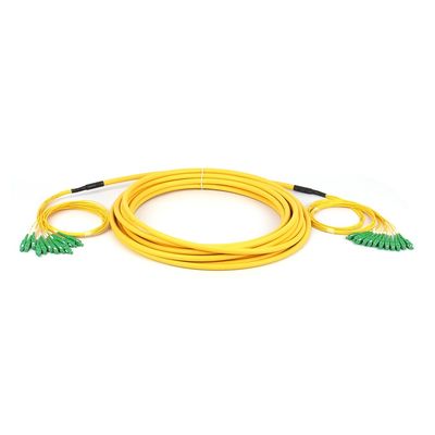SC / APC - SC / APC Breakout Fiber Cable SM 12 Cores Fiber Optic Patchcord