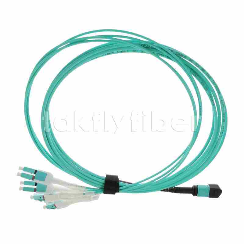 12F كابل الألياف البصرية MPO-LC Uniboot MPO Breakout Patch Cable، Plenum (OFNP)، 0.35 ديسيبل كحد أقصى.