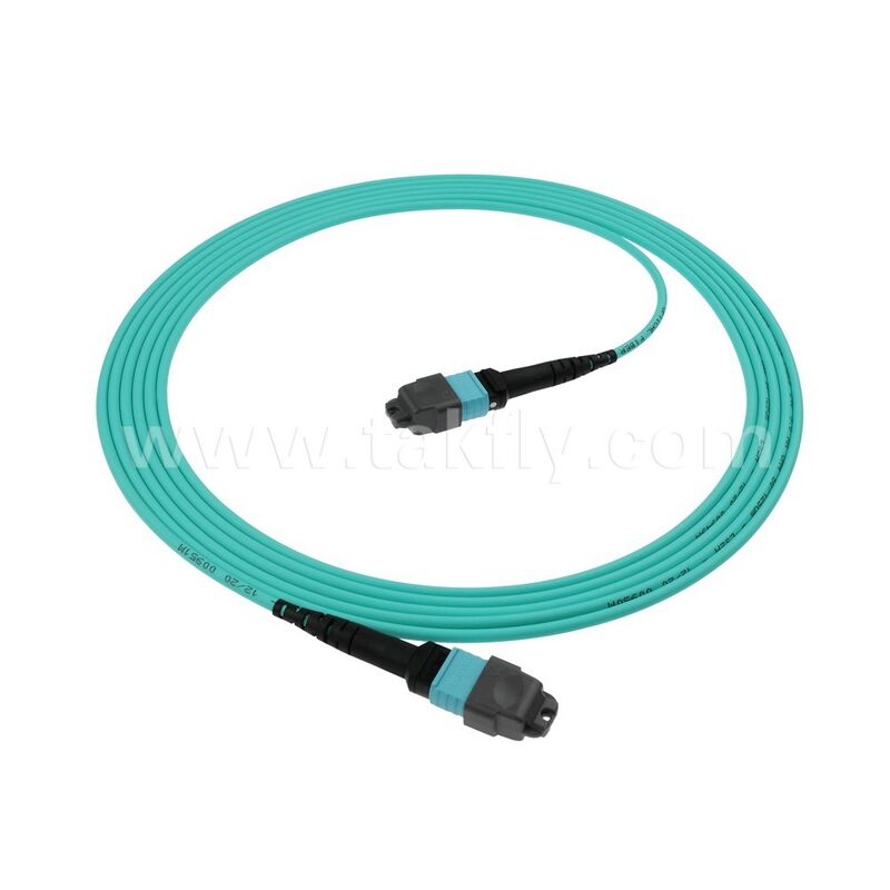 الكثافة العالية 8 12 16 24 MPO MTP Multimode MM OM3 OM4 Fiber Optic Patchcord / كابل التصحيح بالألياف البصرية / Jumper البصري / كابل جذع الألياف البصرية لمركز البيانات 10G 40G 100G 200G 400G