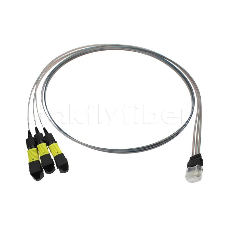 3x12F MTP - 36CH Fiber Array FA Assembly بمعدل نقل عالي واستهلاك منخفض وثبات وموثوقية عالية