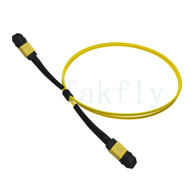 12-Core MPO APC Fanout Patch Cord الذكور إلى الإناث ، خسارة منخفضة