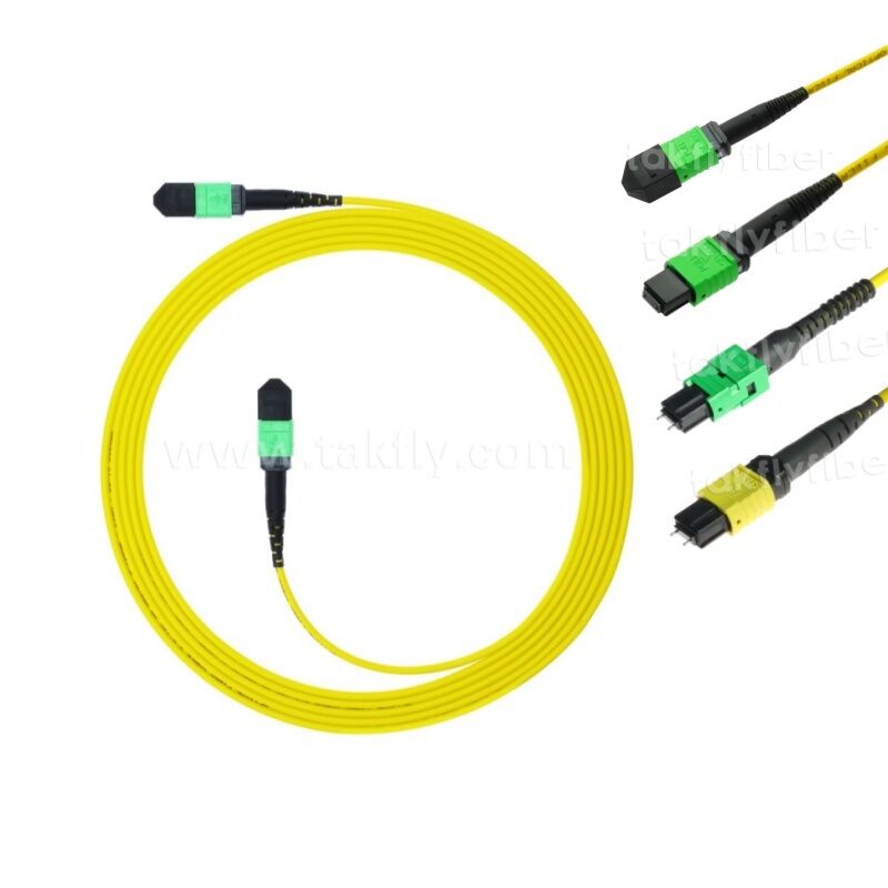 MPO MTP Patchcord SM Trunk Cable 12F الألياف الضوئية لمركز البيانات AI Telecom FTTX الكابلات