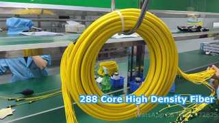 288F MPO/MTP باتشكورد